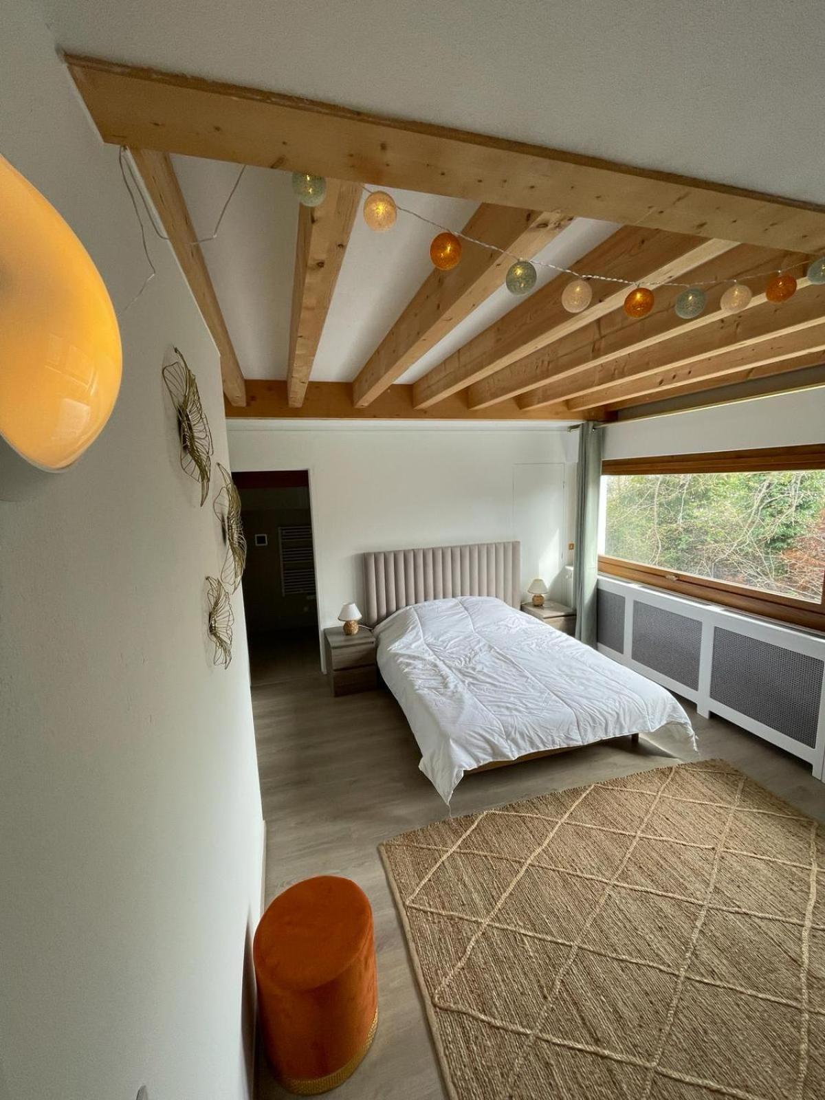 Le Bacchus Apartment Thonon-les-Bains Phòng bức ảnh